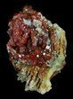 Shiny Red Vanadinite Crystals - Morocco #32336-2
